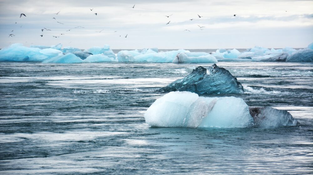 Ice floe in ocean