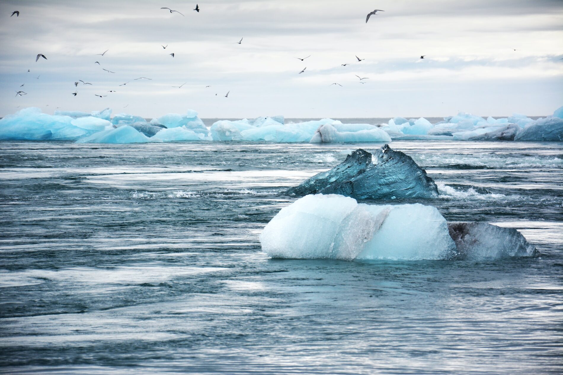 Ice floe in ocean