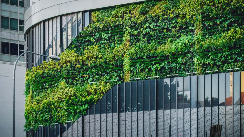 Rounded building with green leaves growing on the side