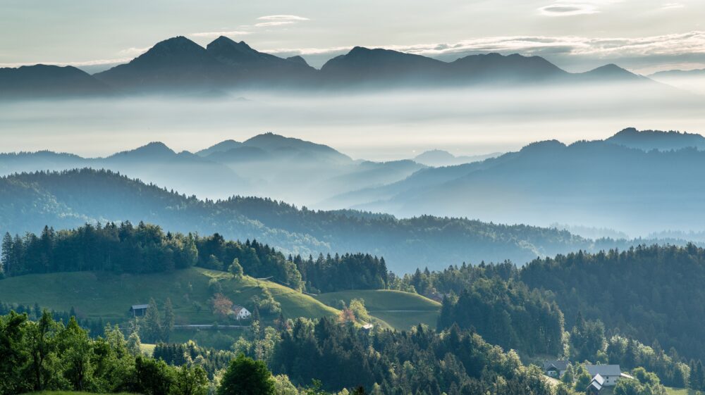 Mountainous valley with evergreen forest against misty sky