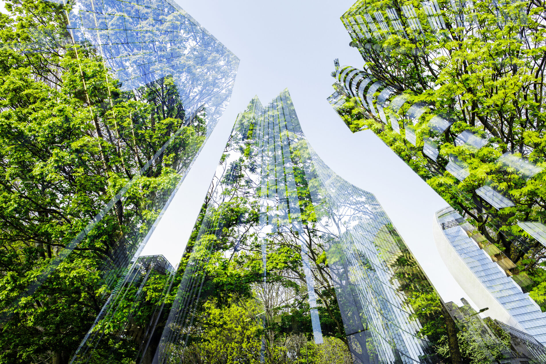 Trees and office buildings in London financial district.