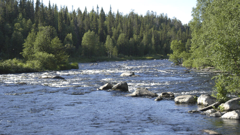 Käpykoski rapids on river Kuusinkijoki in Kuusamo, Finland, july 2005