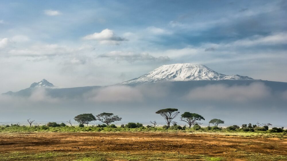 View of Kilimanjaro from Amboseli National Park, Kenya with green and brown ground and sparse tree cover