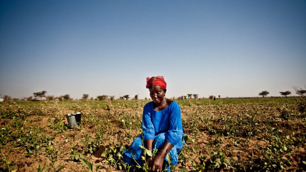 Sahel food crisis 2012, the drought response in Mauritania