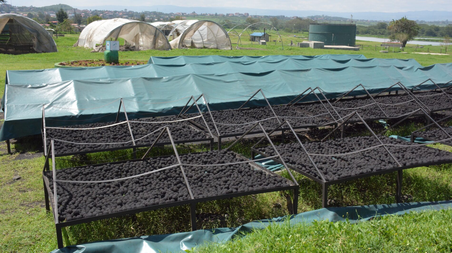 Briquettes drying