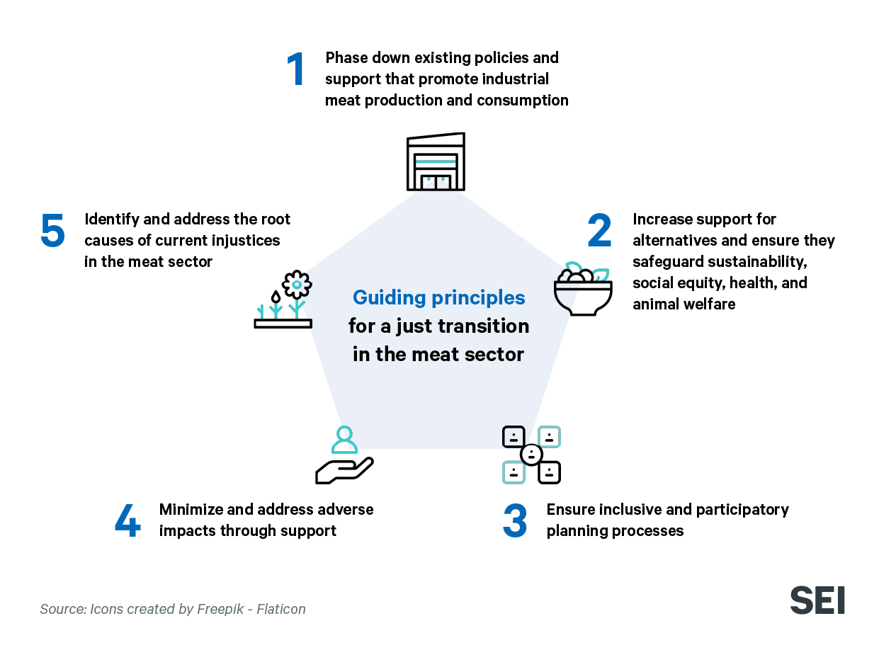 Graphics showing guiding principles for a just transition in the meat sector