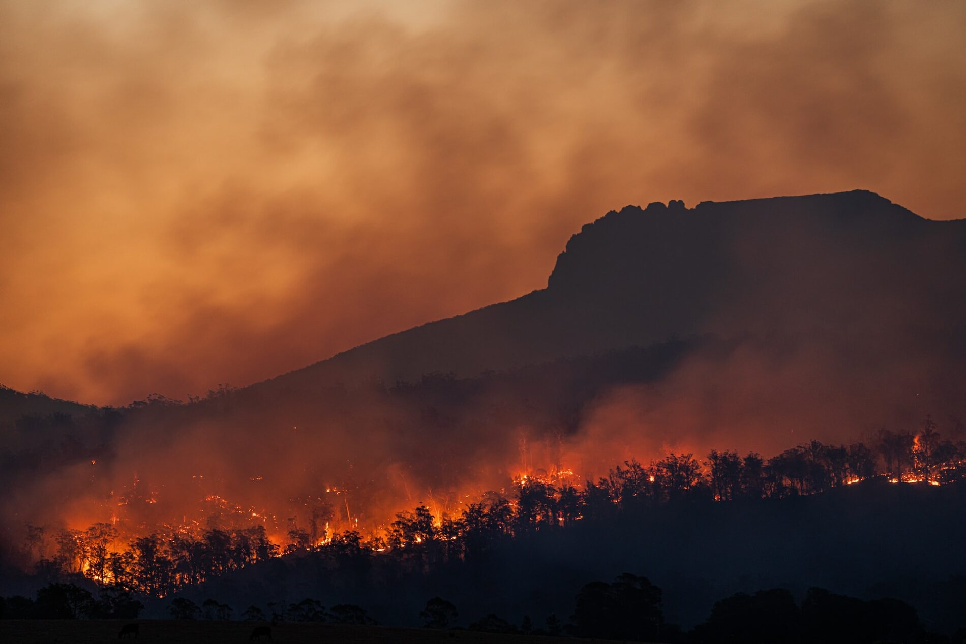 Bushfires in Tasmania, Australia