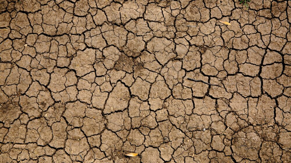 Land cracked by drought
