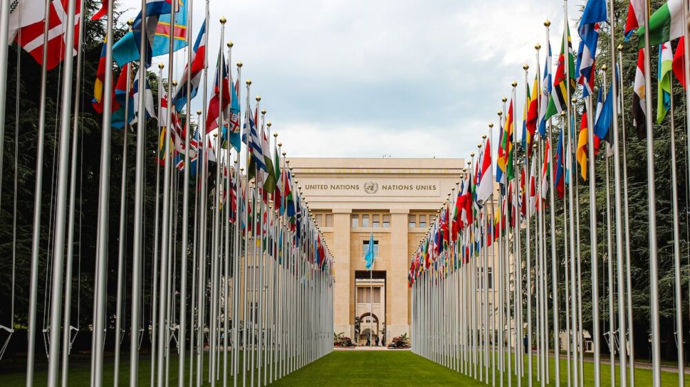 Flags of different countries UN members