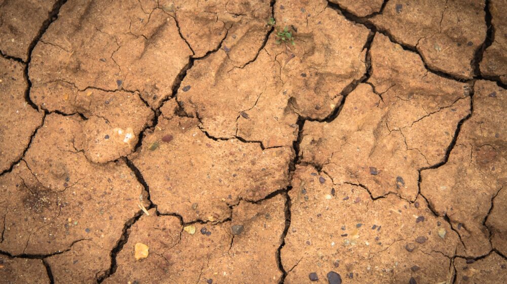 Soil