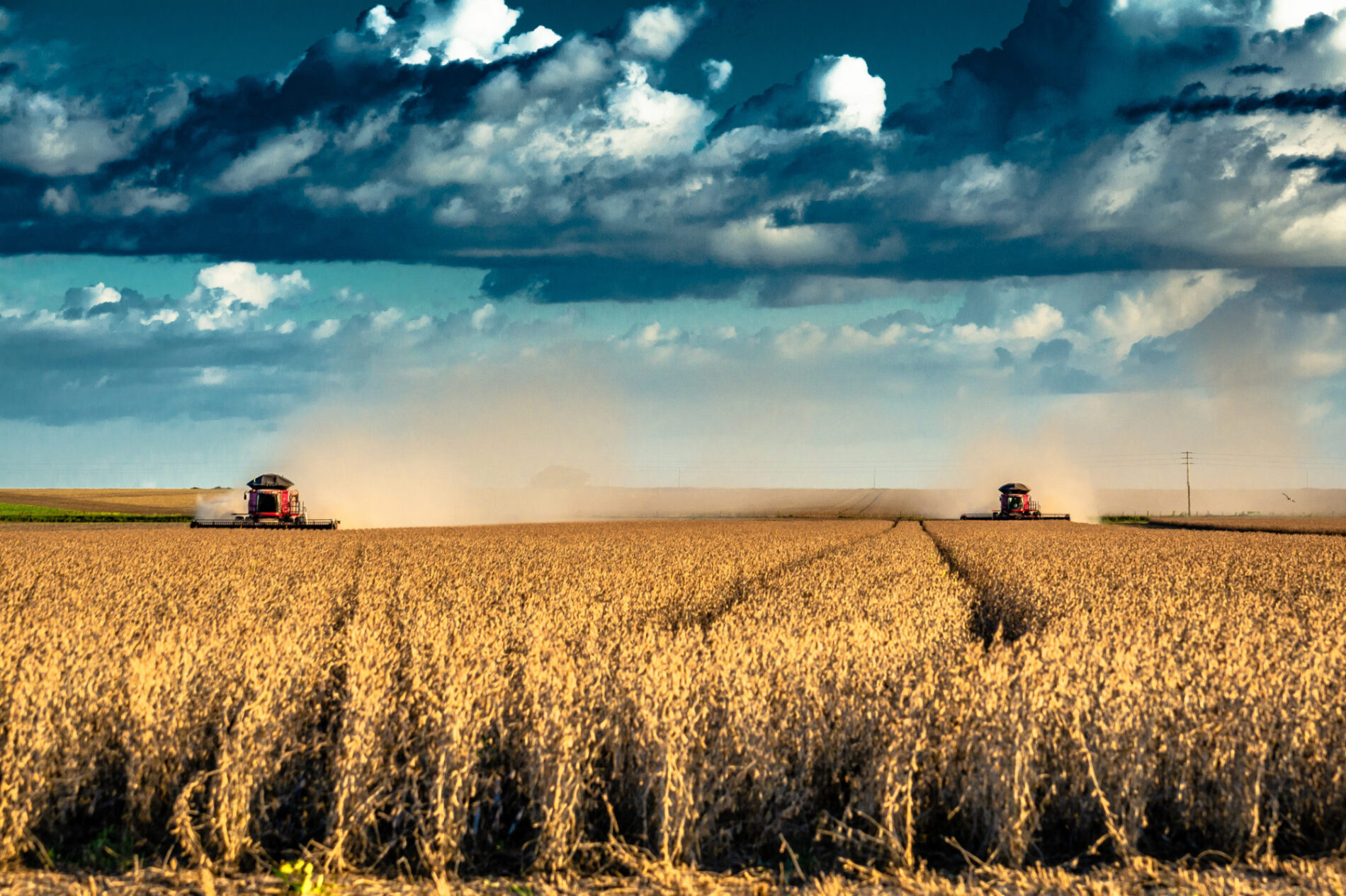 Harvesting of soybean in Mato Grosso, Brazil.