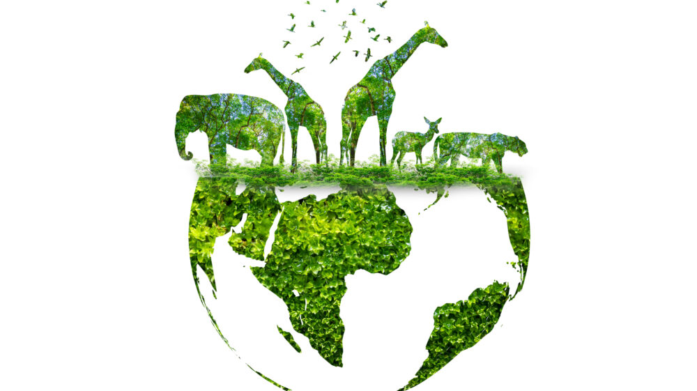 Earth wildlife conservation.
