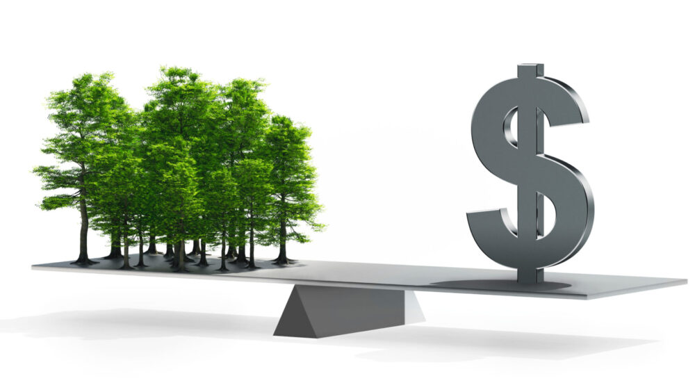 Balance between money and forests