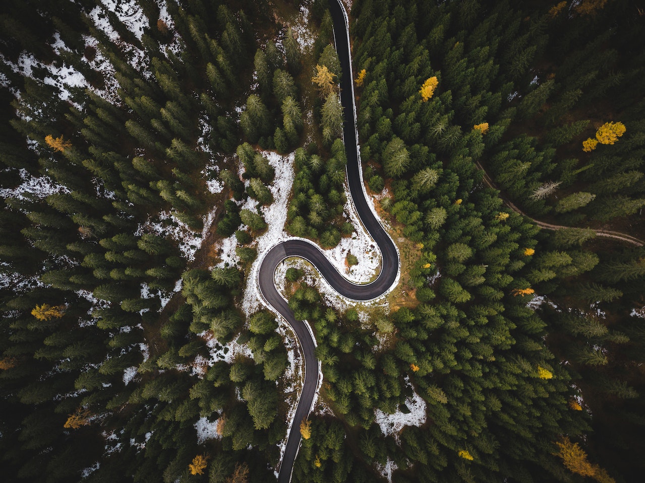 Bird's Eye View Of Roadway Surrounded By Trees. Cortina d'Ampezzo, Veneto, Italy