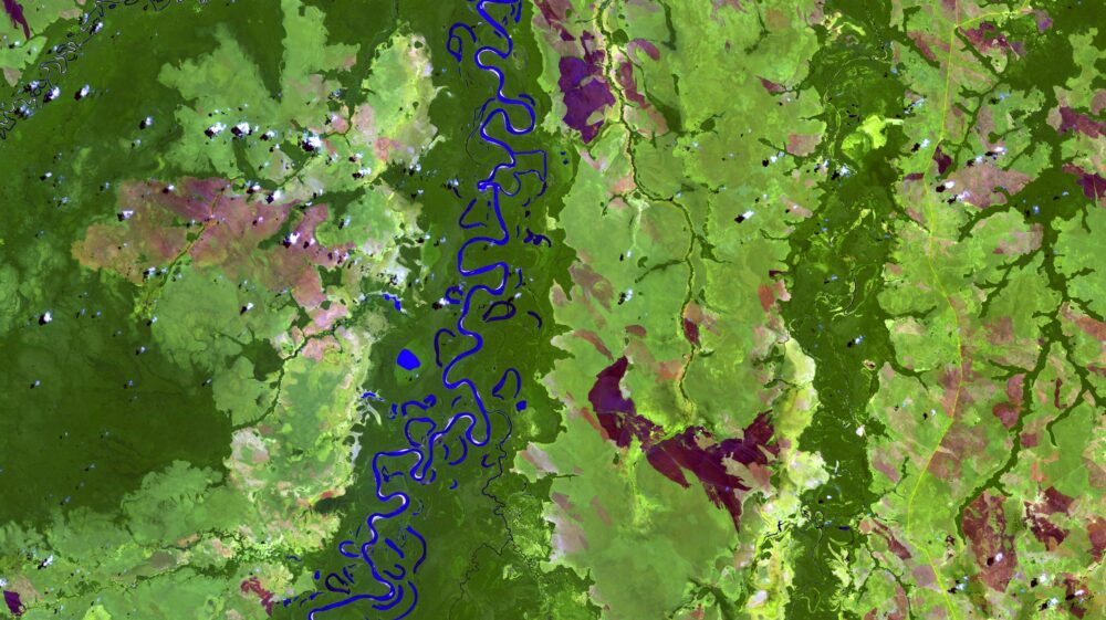 Satellite image of Bolivia's Beni River appears as a blue ribbon winding through a lush forest.