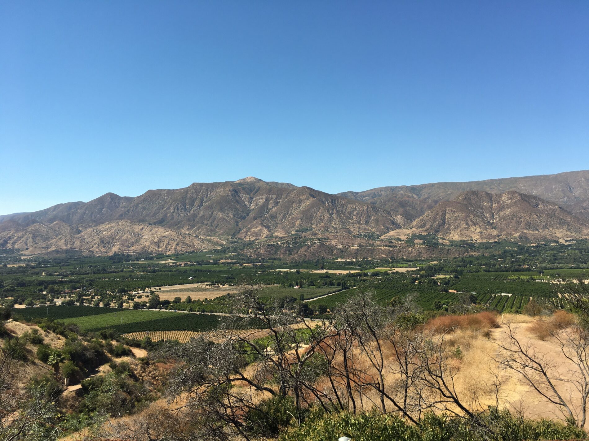 An agricultural stretch of the Ventura River watershed in California lies beneath a mountainous ridge and deep blue sky.