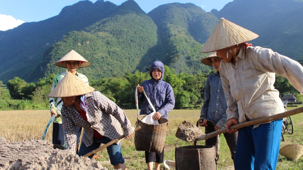 Vietnamese farmers