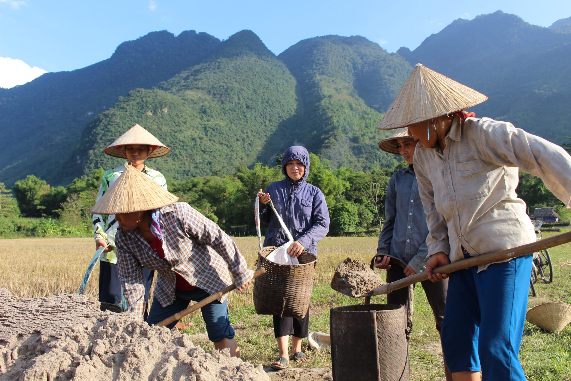 Vietnamese farmers
