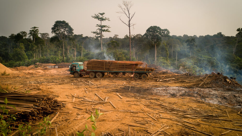 Truck in a cut down forest
