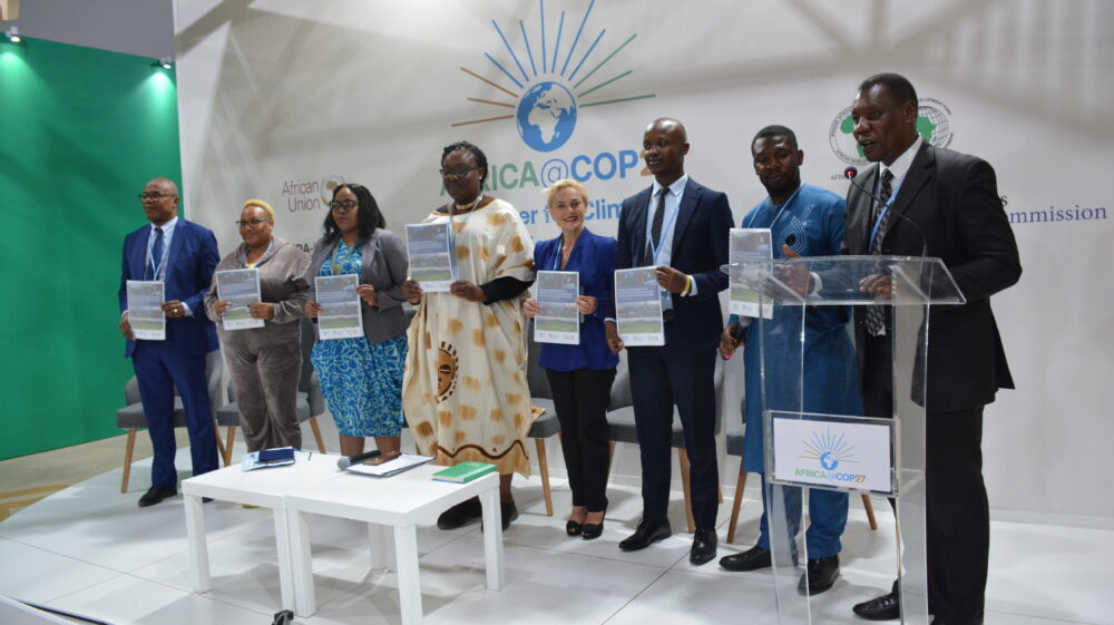 Africa integrated report launch
