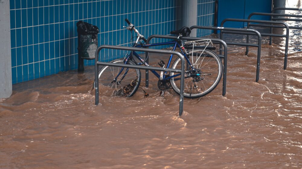 A high tide / Hochwasser in Bonn, Germany. The Rhine is at ~9 metres.