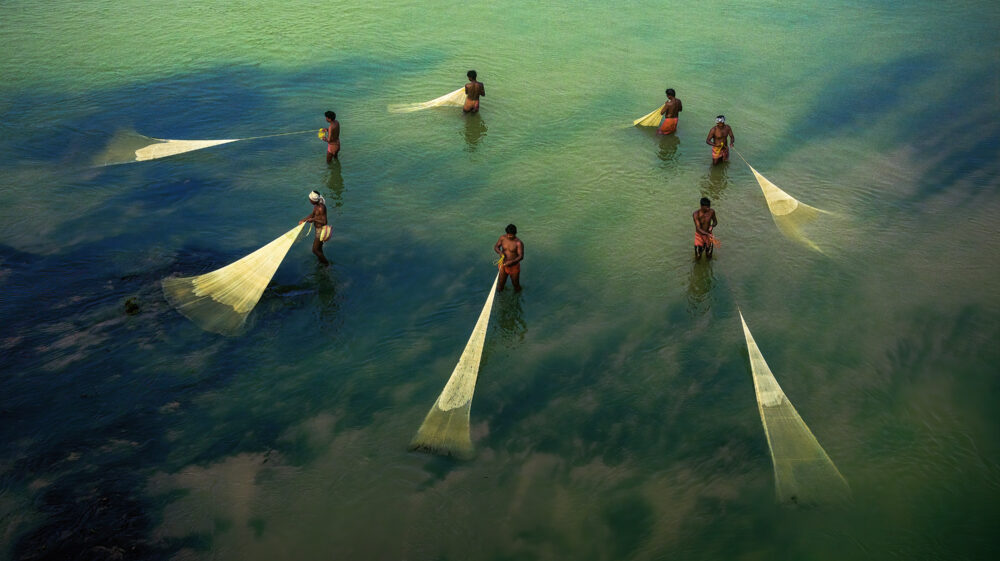 A group of fishermen hauling in their fishing nets in Kolkata. The total amount of fish caught used to be sold in a single batch and the money earned equally divided among them so that they could feed their families.
