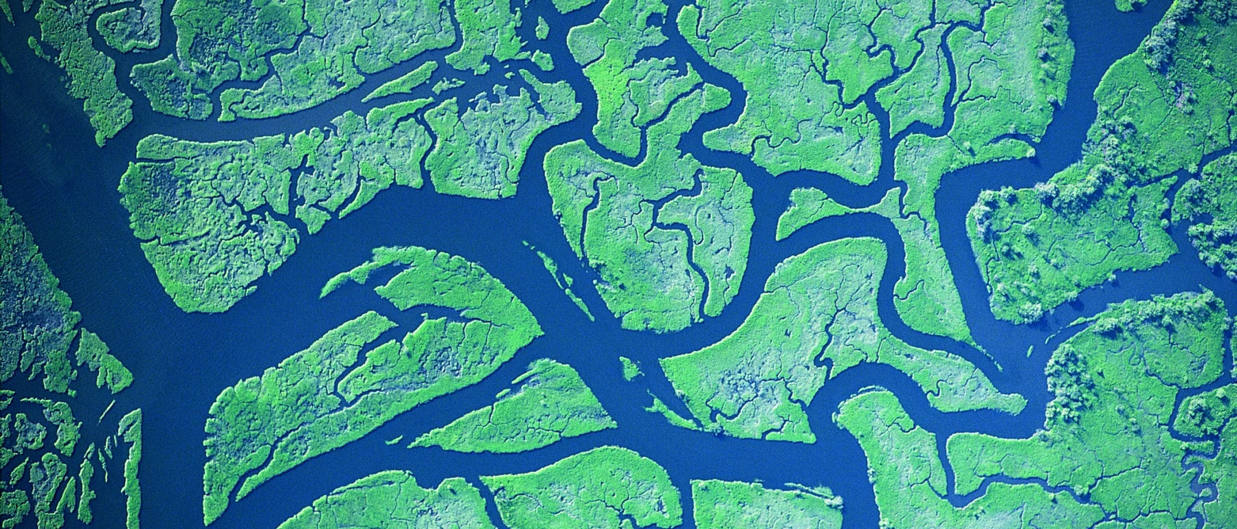 Satellite image of bright blue Colombia River and a web of offshoots and tributaries meandering through the bright green land of western Washington and Oregon, United States