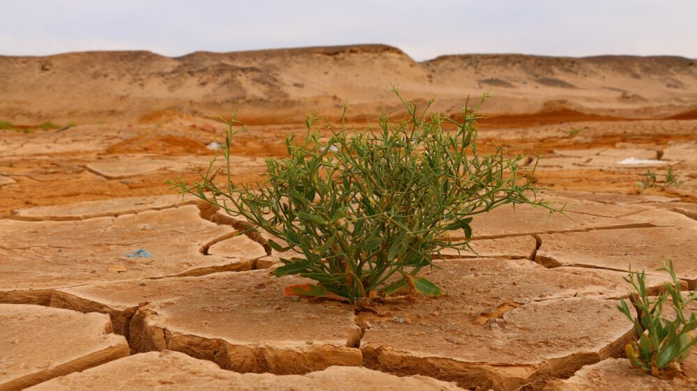 Climate change