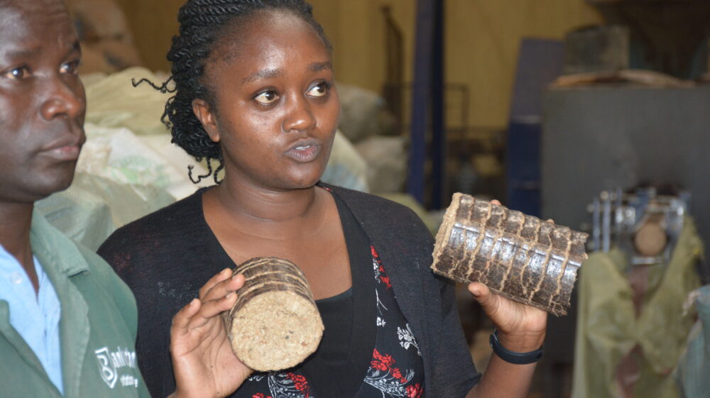 Briquettes