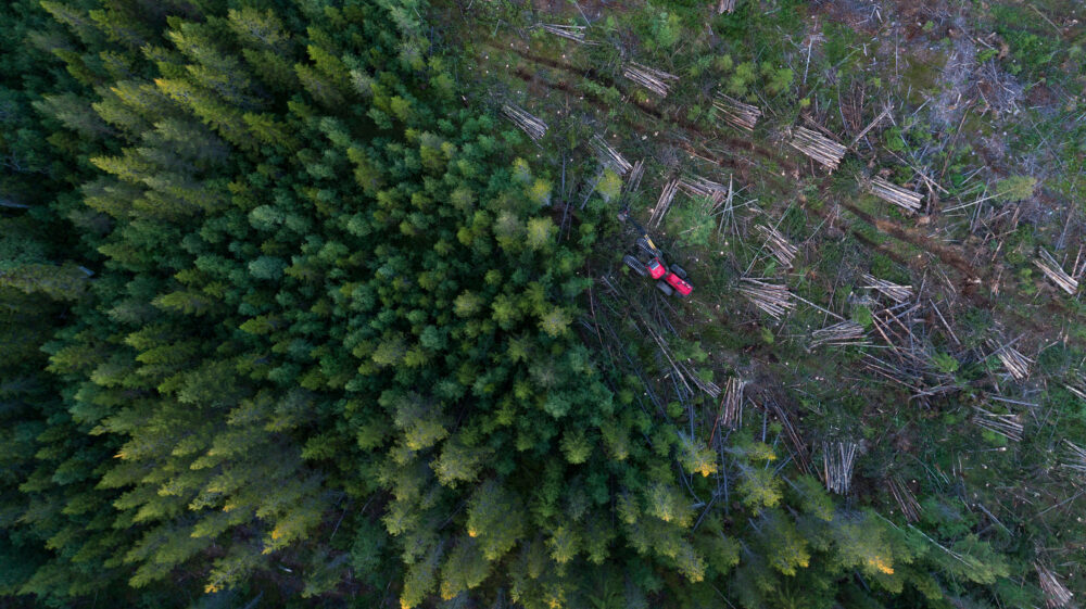 Aerial view of forestry machinery logging trees