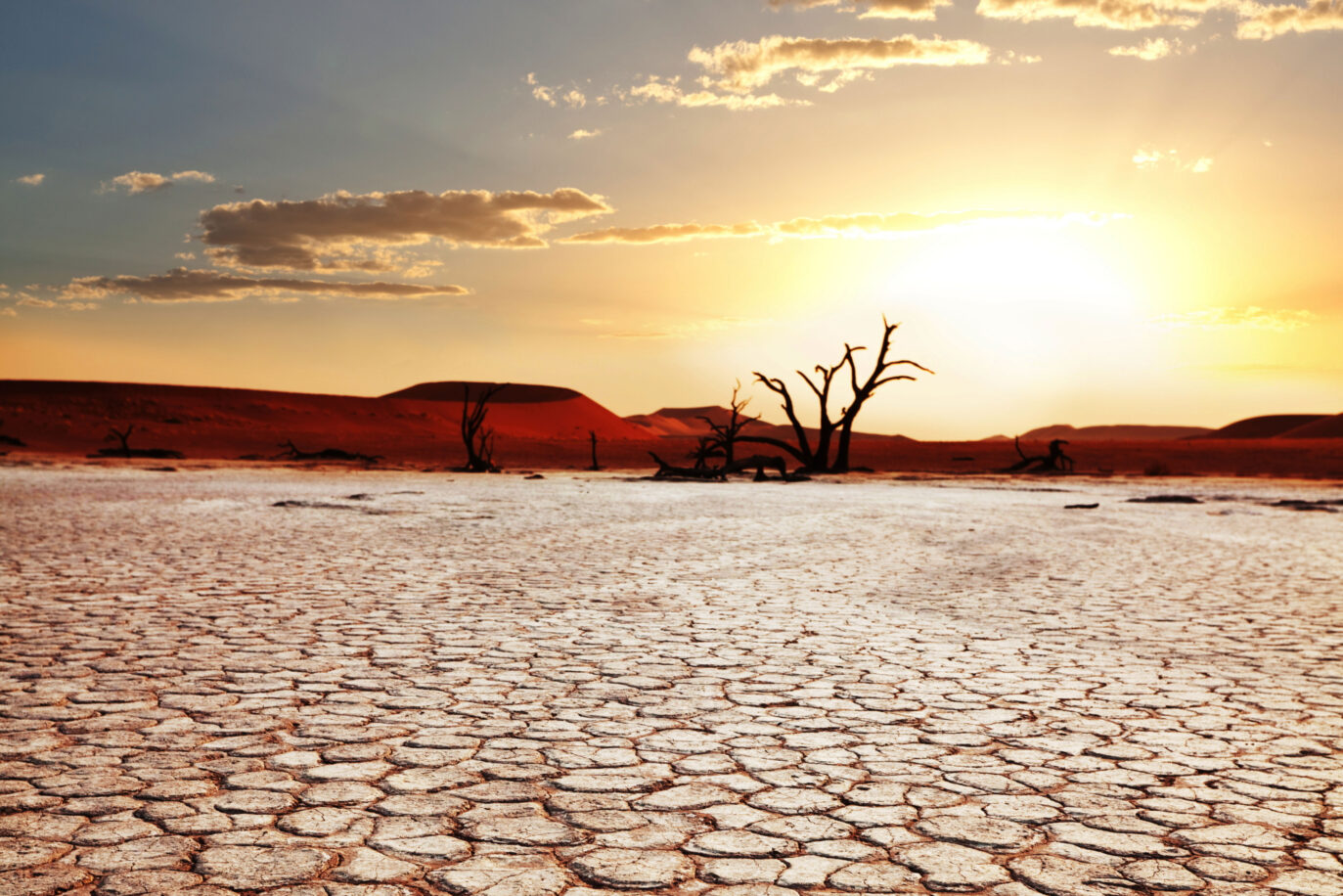 Тема засуха. Опустынивание Марокко. Сухой климат. Засуха. Пустынная земля.