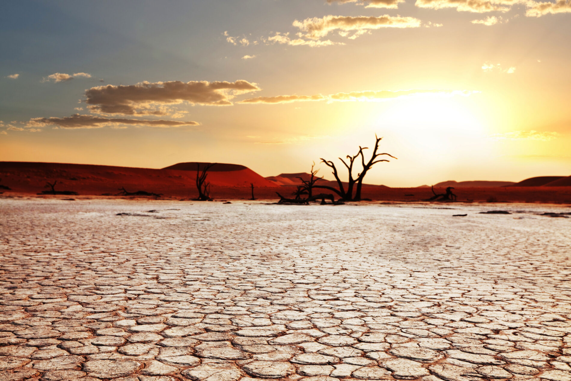 Drought will increase due to climate change.