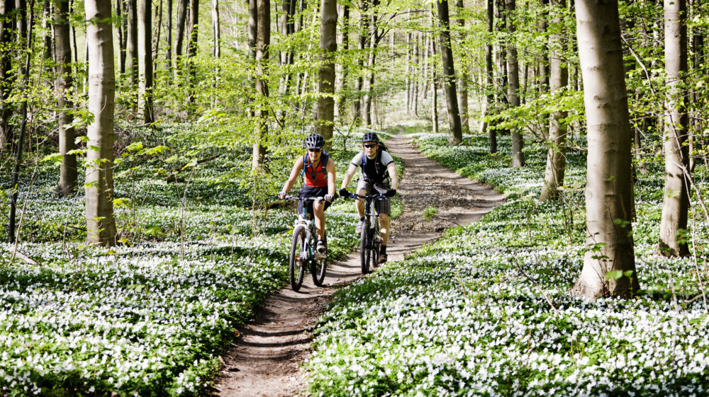 Par som cyklar tillsammans i skogen.