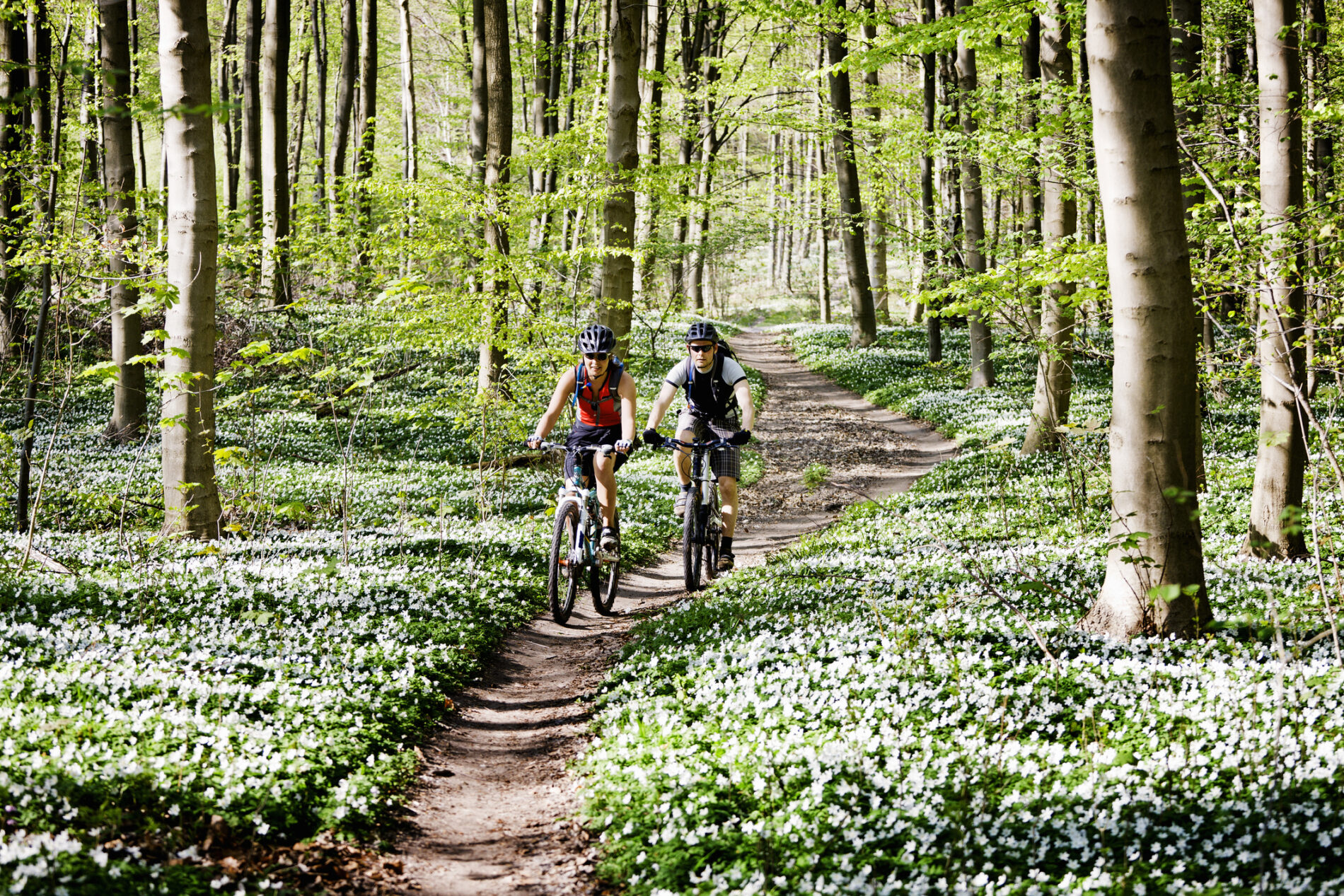Par som cyklar tillsammans i skogen.