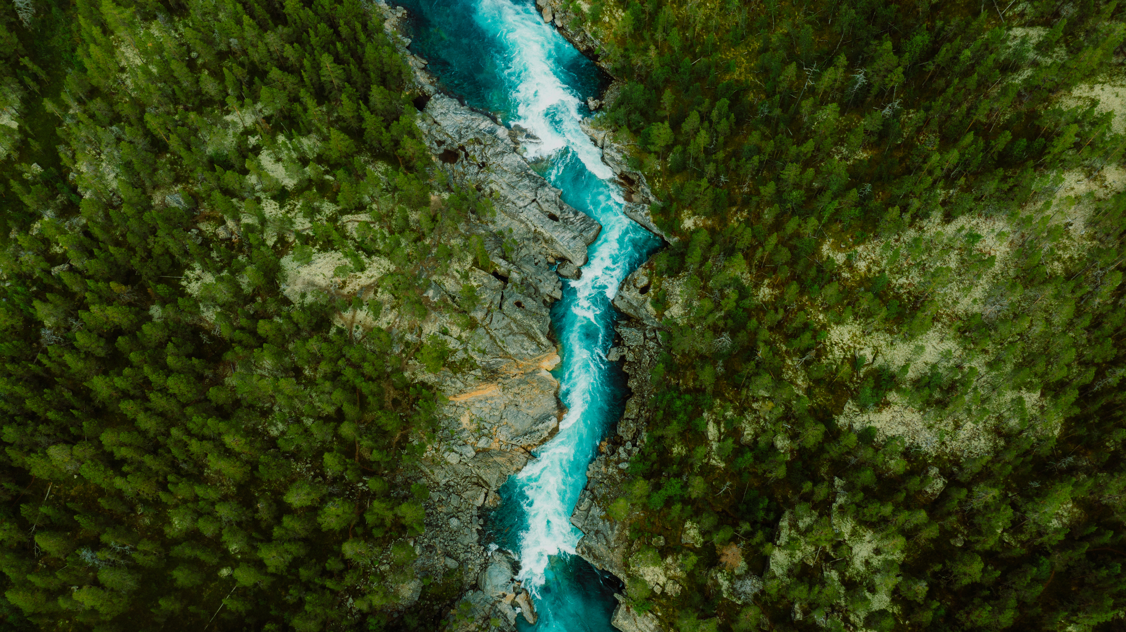 Mountain landscape with a forest and the crystal blue river in Jotunheimen National Park.