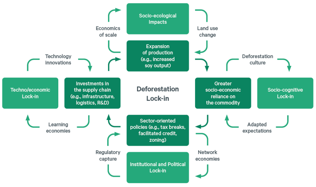 Illustration of how positive feedback loops creates a deforestation lock-in from expansion of agriculture.