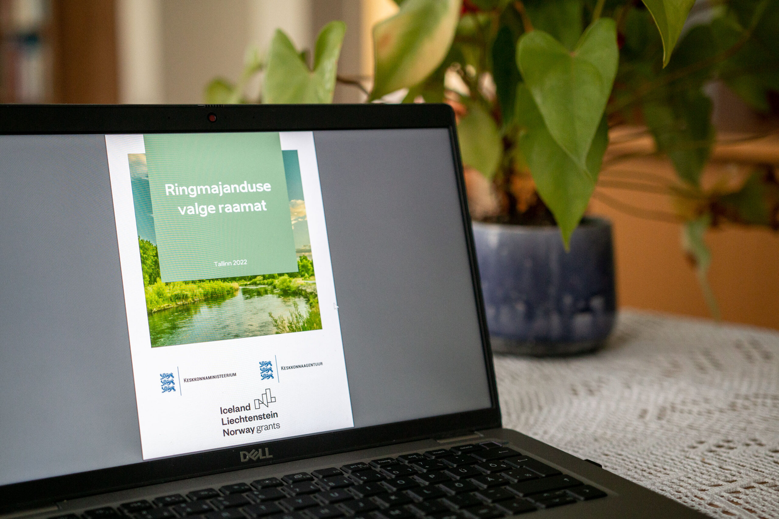 A photo of a laptop with a document open on the screen and a plant in the background on the table.
