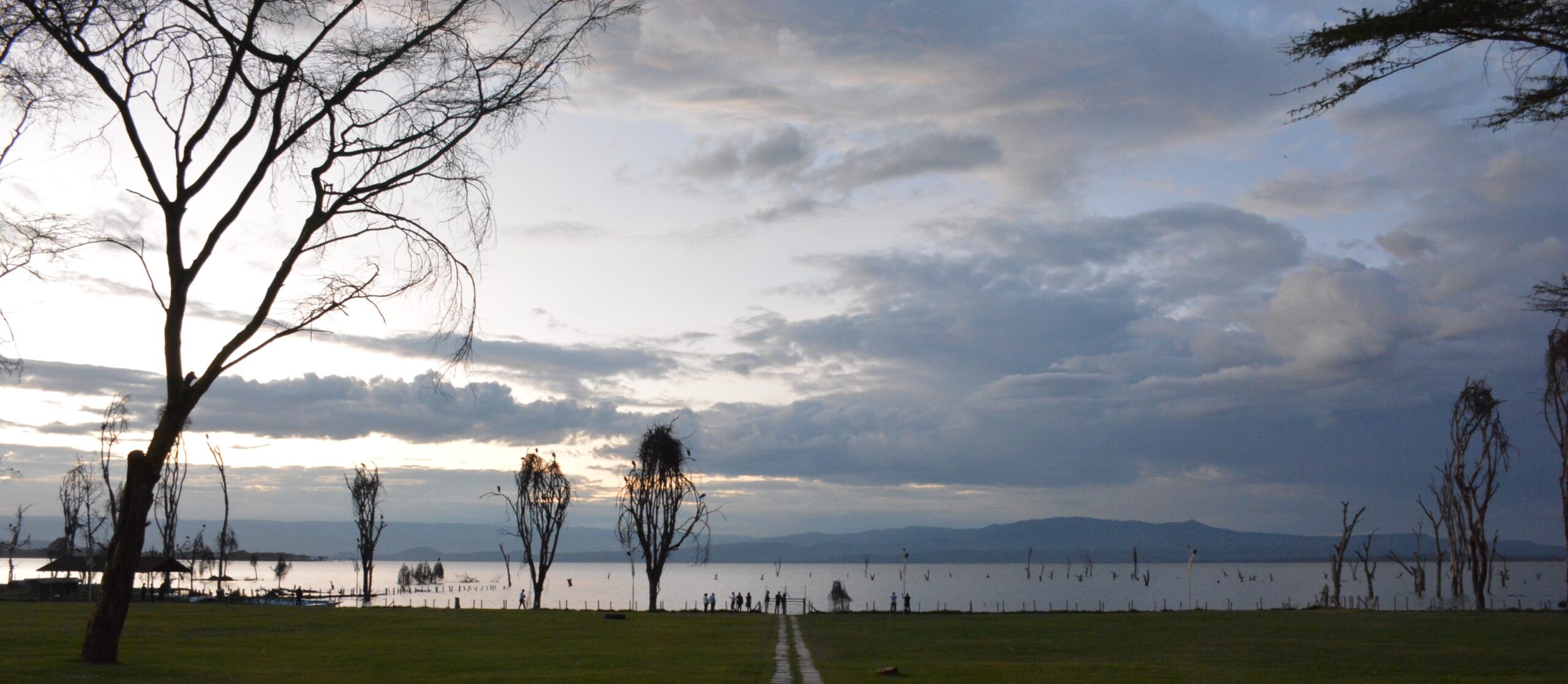 Naivasha shores