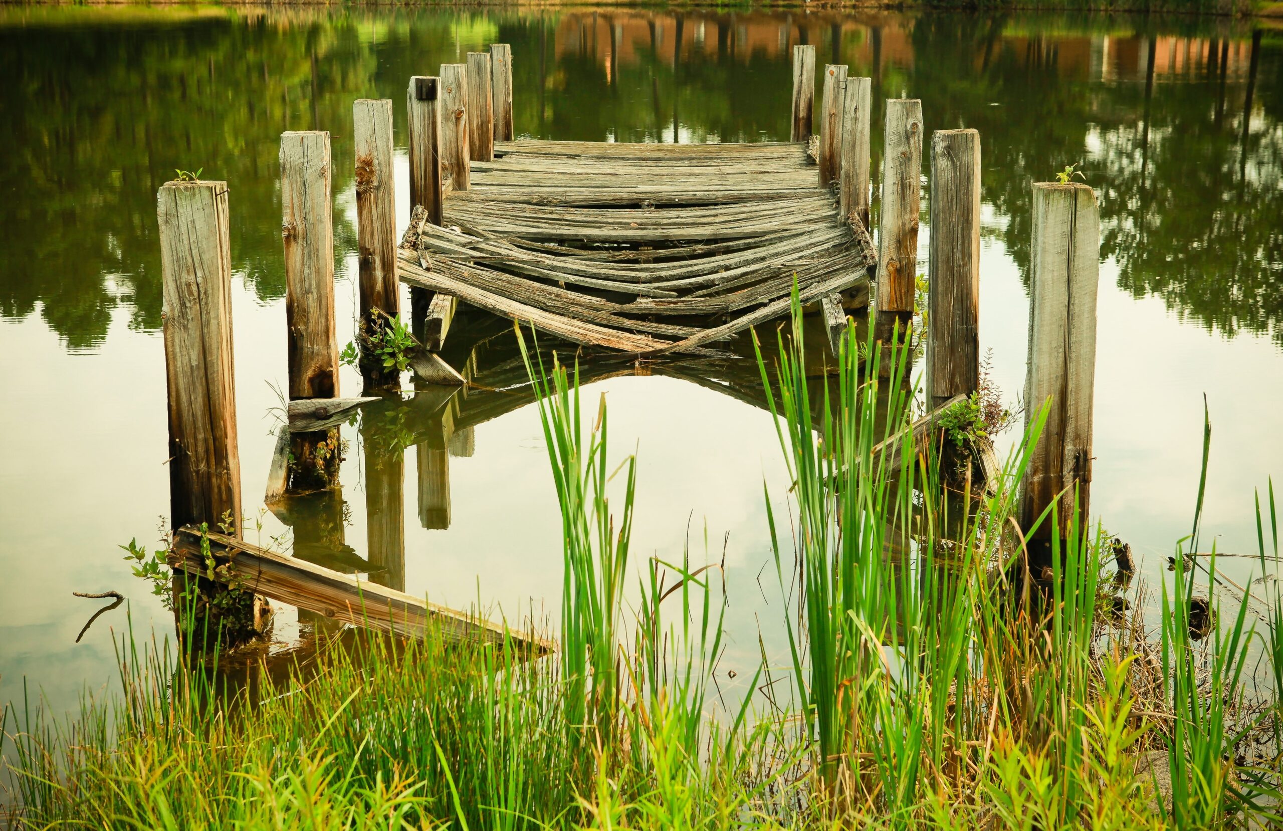 Damaged woody bridge