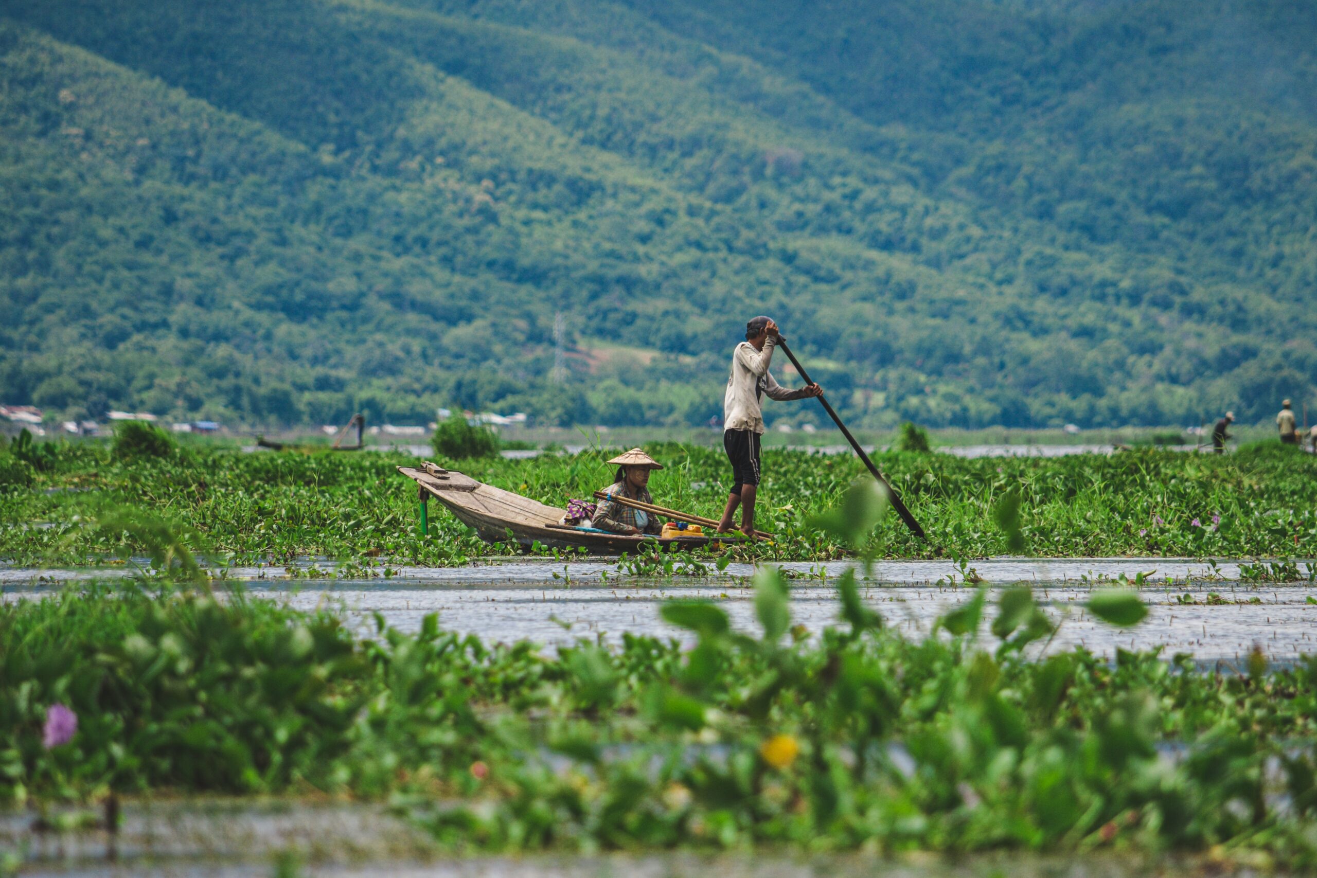 Farmer in Myanmar