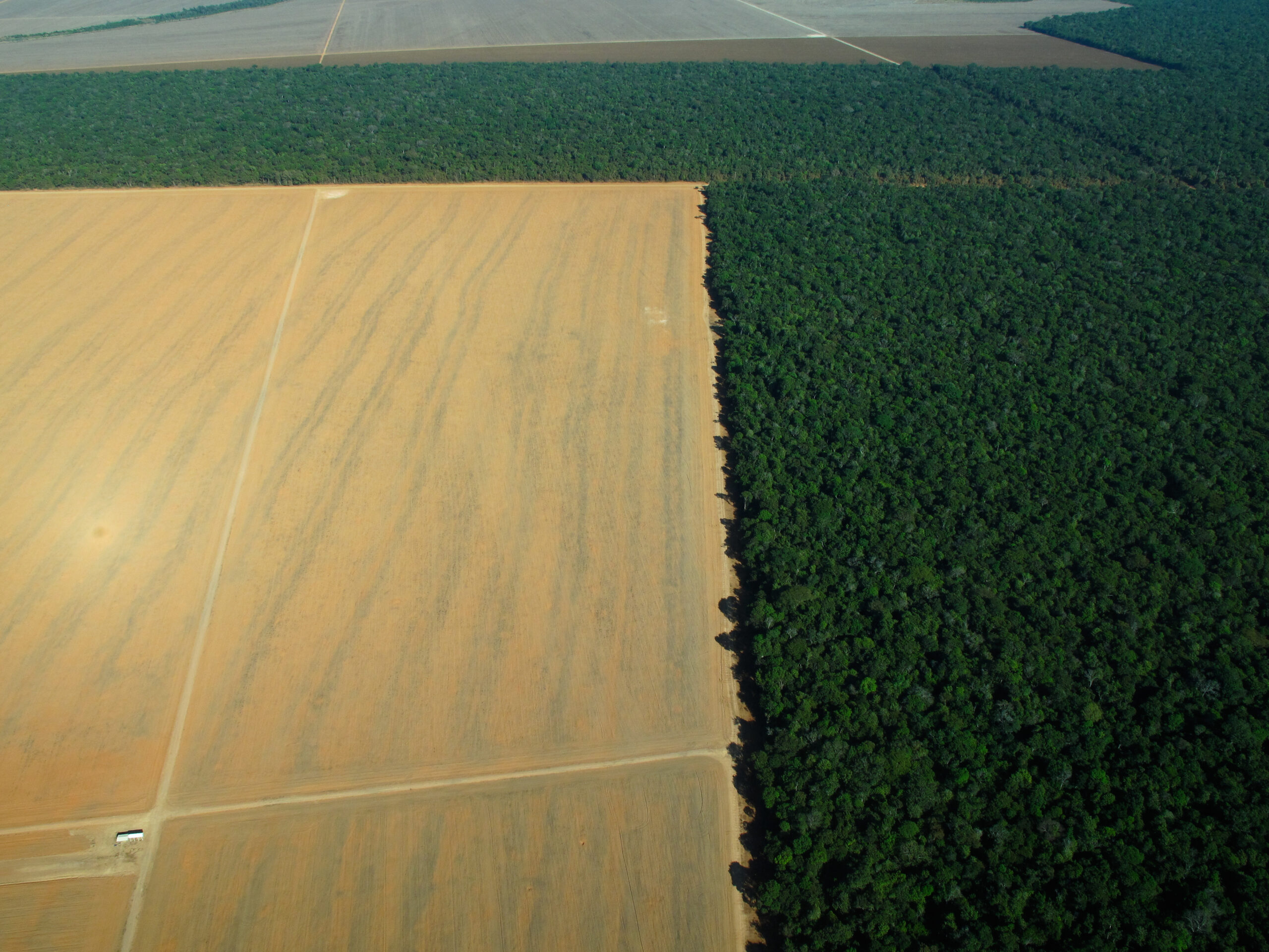 Cleared land in the Amazon Jungle, Brazil