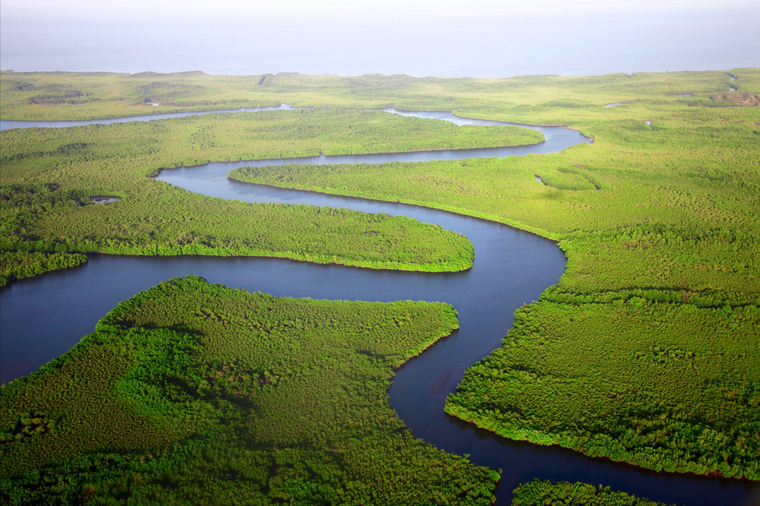 Blue river stream meanders and splits through green landscape in Gambia