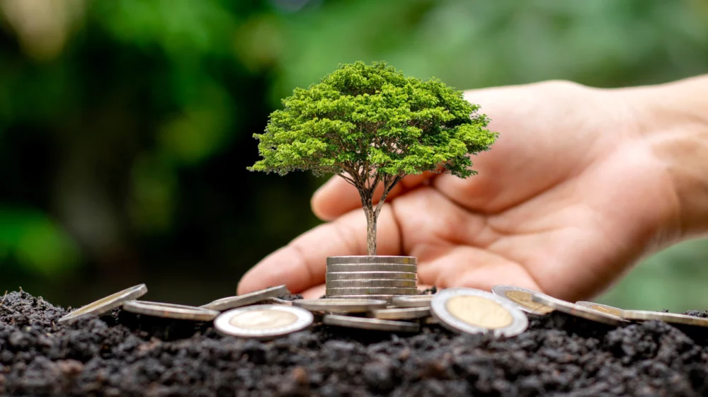 climate finance