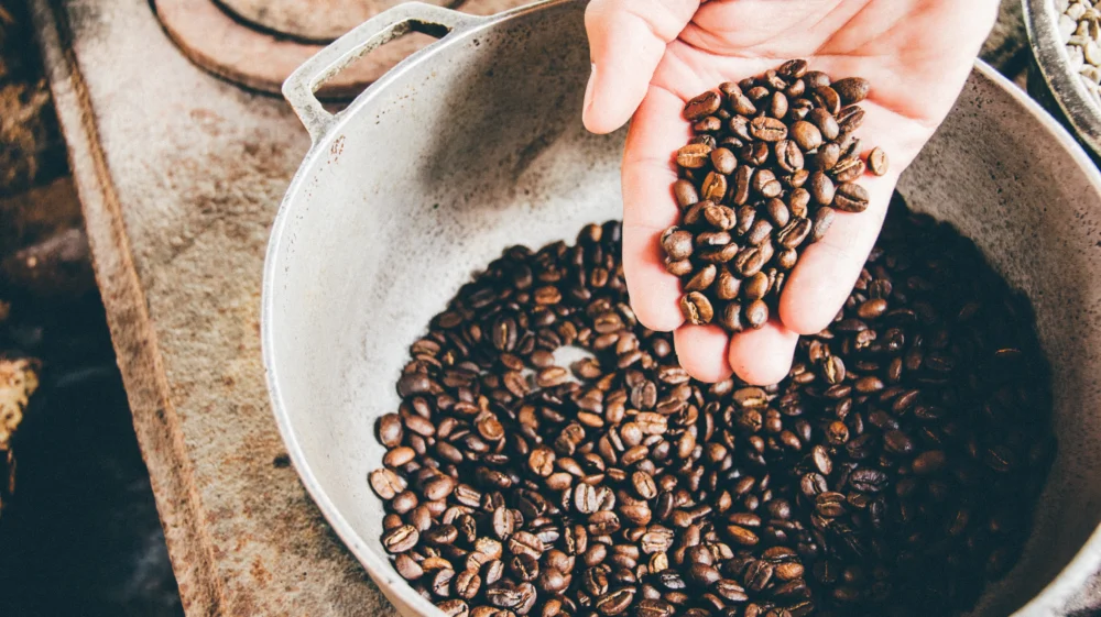 Coffee bean