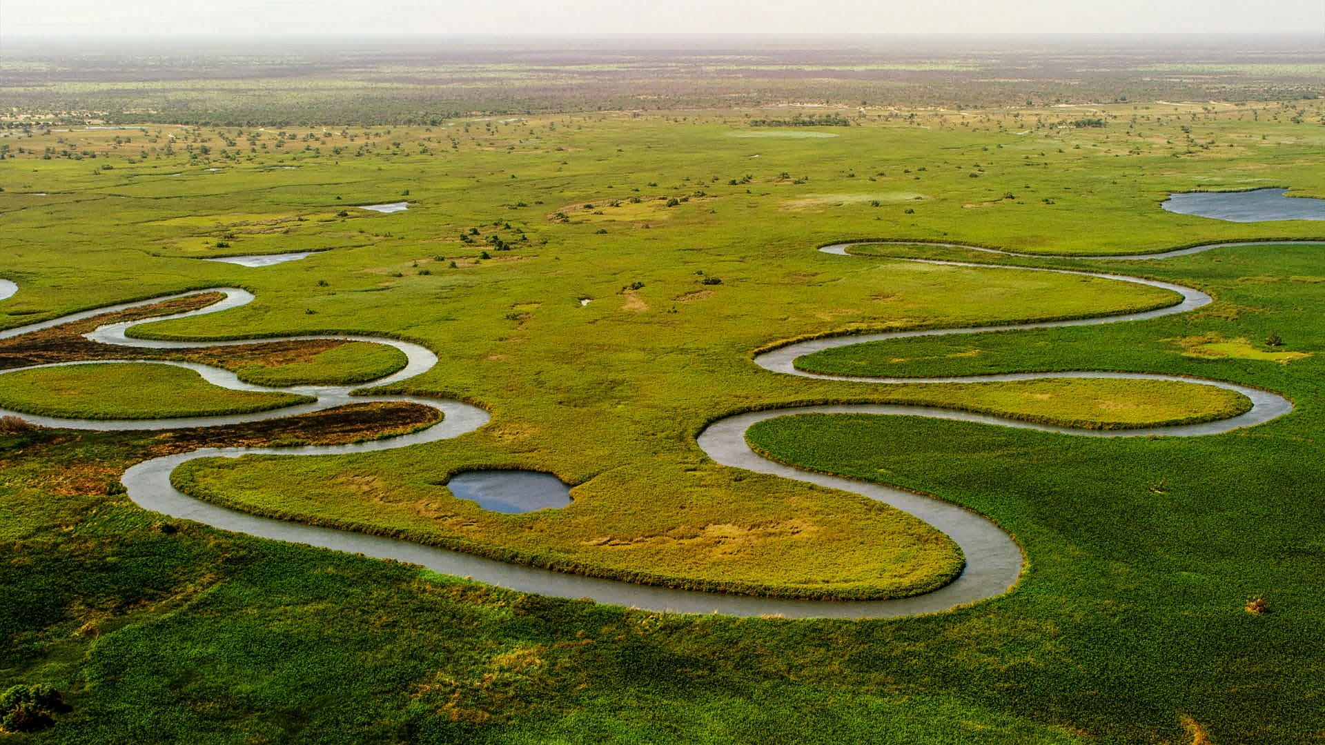 The Okavanga Delta stream winds through green vegetation in Botswana.