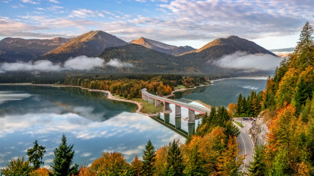 Bridge surrounded by the morning mist.