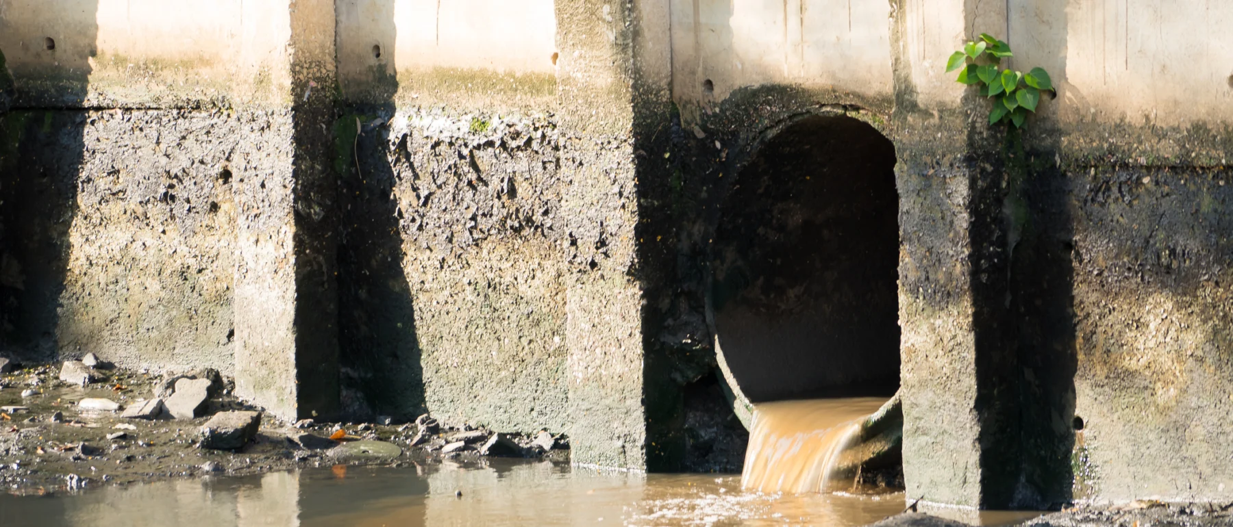 Large concrete wall with a muddy high water line, and a pipe dumping brown water into water below.