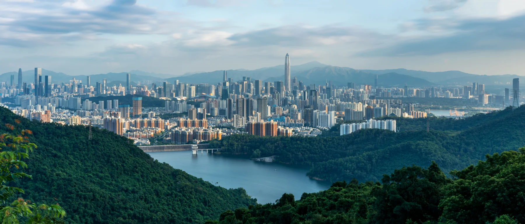 View of the Shenzhen skyline, China, from a the mountain during the day