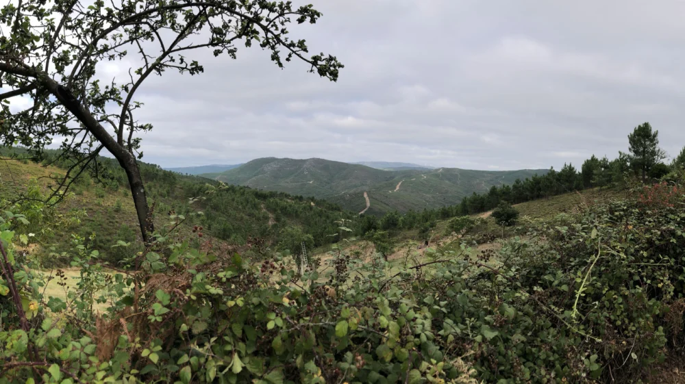 A view from a hill to a green mountainous regions.