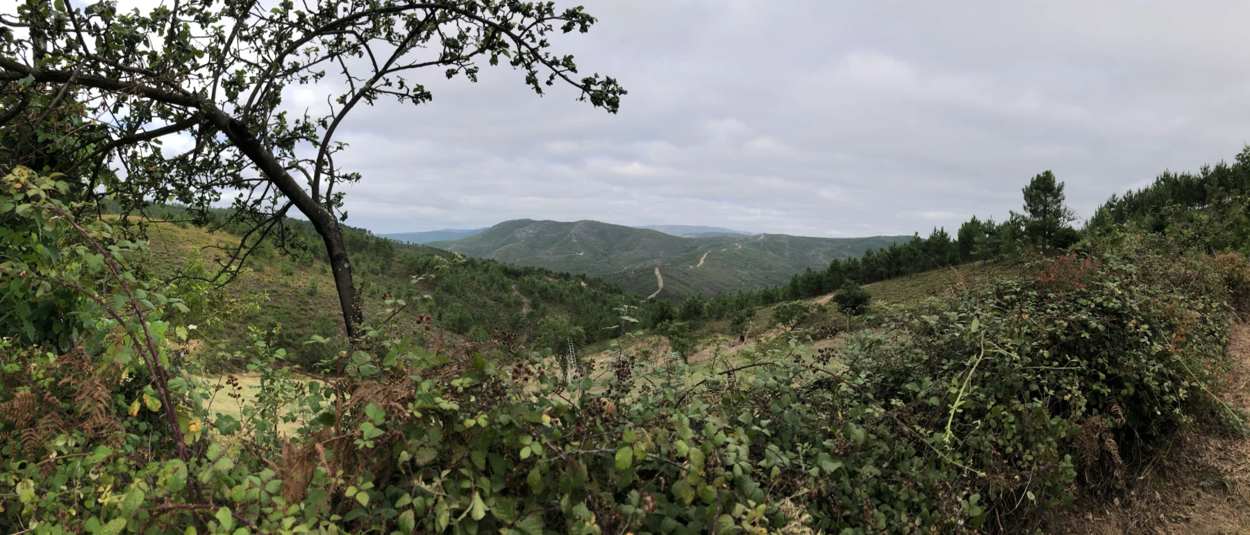A view from a hill to a green mountainous regions.